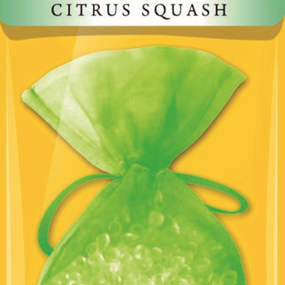 AREON PEARLS CITRUS SQUASCH