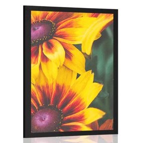 Plagát atraktívne dvojfarebné kvety - 40x60 black