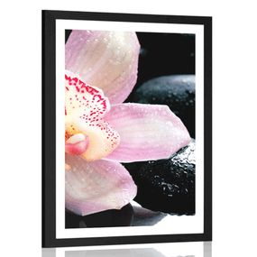 Plagát s paspartou exotická orchidea - 30x45 black