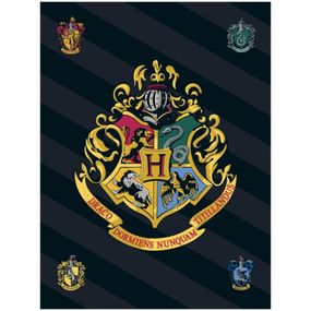 Javoli · Fleecová deka Harry Potter s erbom školy čarodejníckej na Rokforte - Polar Fleece - 100 x 140 cm