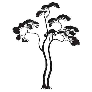 Šablóna na maľovanie - Borovica Strom  tx34
