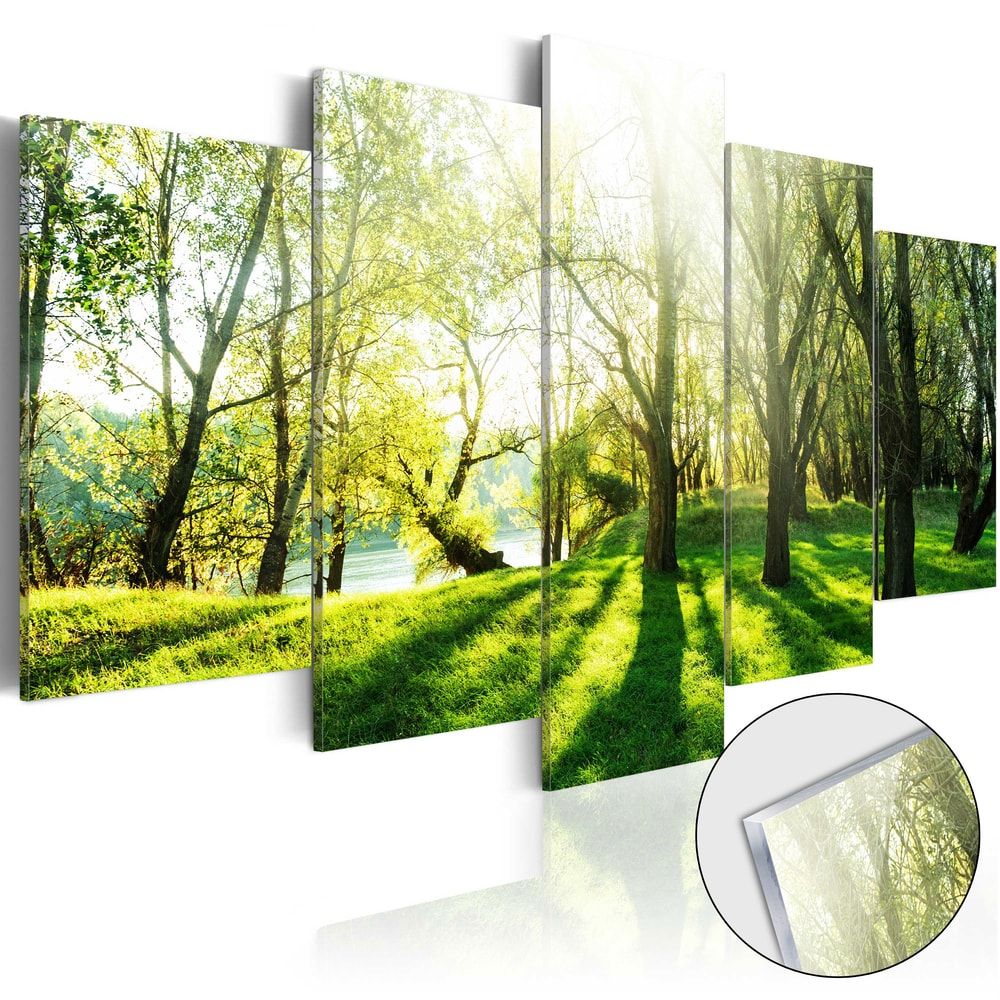 Obraz sýtozelený les na akrylátovom skle - Green Glade - 100x50