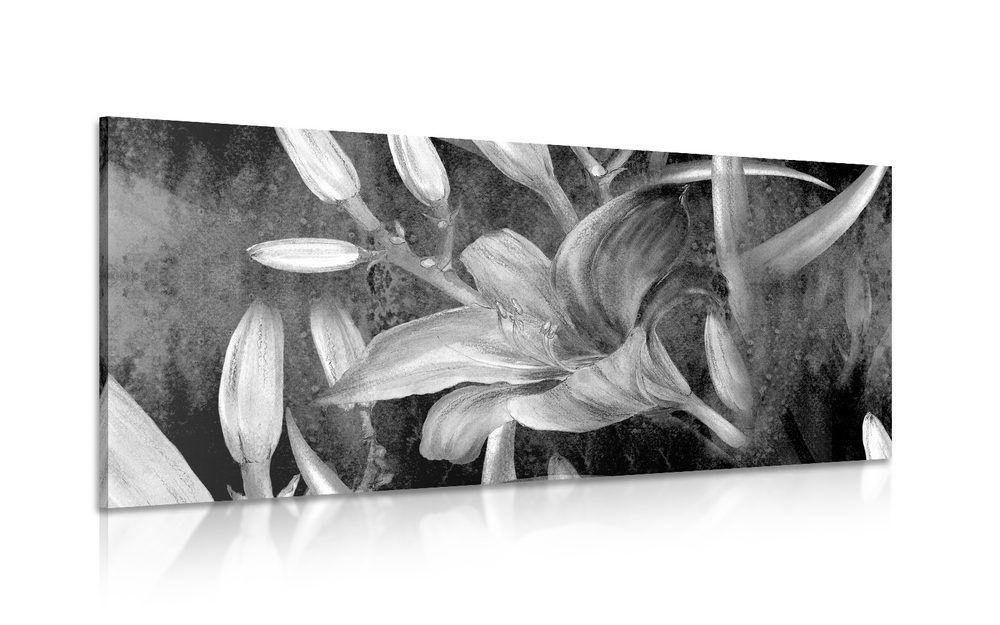 Obraz rozkvet ľalie v čiernobielom prevedení - 120x60