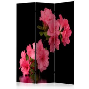 Artgeist Paraván - Azalea in Black [Room Dividers]