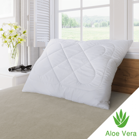 Vankúš ALOE VERA zips 70x90cm 900g