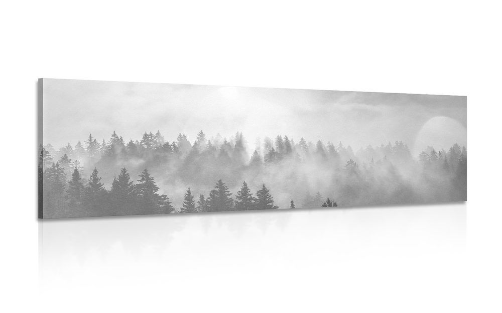 Obraz hmla nad lesom v čiernobielom prevedení