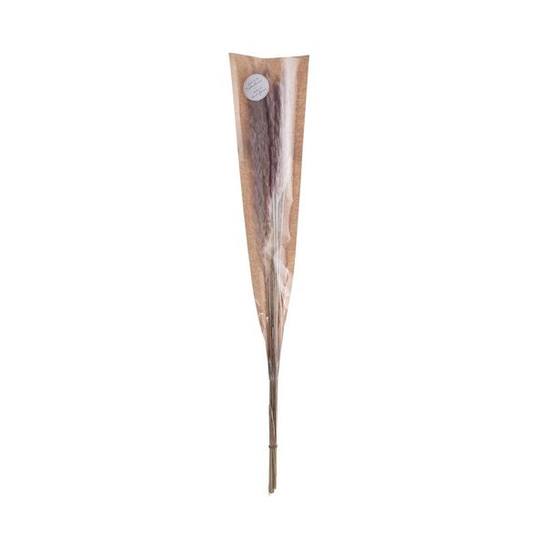 Butlers FLOWER MARKET Pampas tráva sušená 70 cm - prírodná