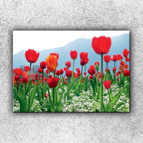 Foto na plátne Červené tulipány 1 50x35 cm