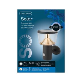 Kaemingk Solárne nástenné LED svietidlo 895203 z ocele, ušľachtilá oceľ, L: 16 cm, K: 23cm