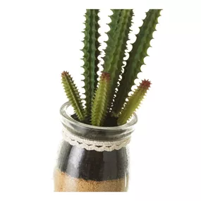 Umelé rastliny v súprave 4 ks (výška 18 cm) Cactus – Casa Selección