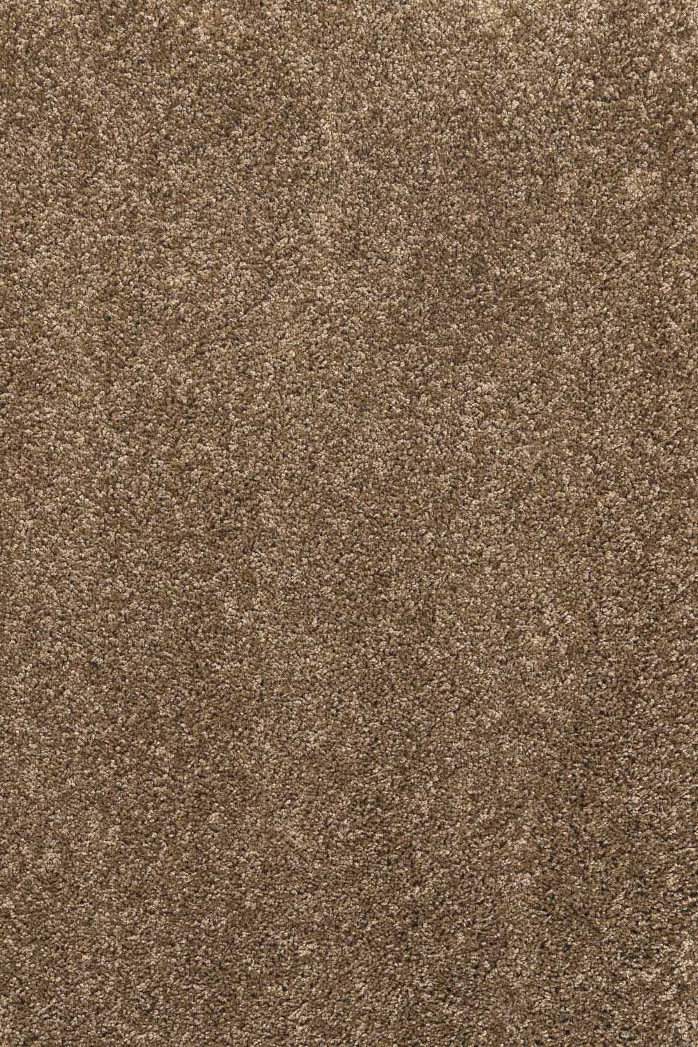 Metrážny koberec Wellington 20 400 cm