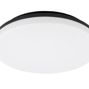 RABALUX 7265 Pernik exteriérové stropné svietidlo LED D280mm 24W/2400lm 3000K IP54 čierna, biela