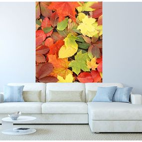 MS-2-0115 Vliesová obrazová fototapeta Colorful Leaves, veľkosť 150 x 250 cm