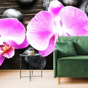 Samolepiaca fototapeta nádherná orchidea a kamene - 450x300