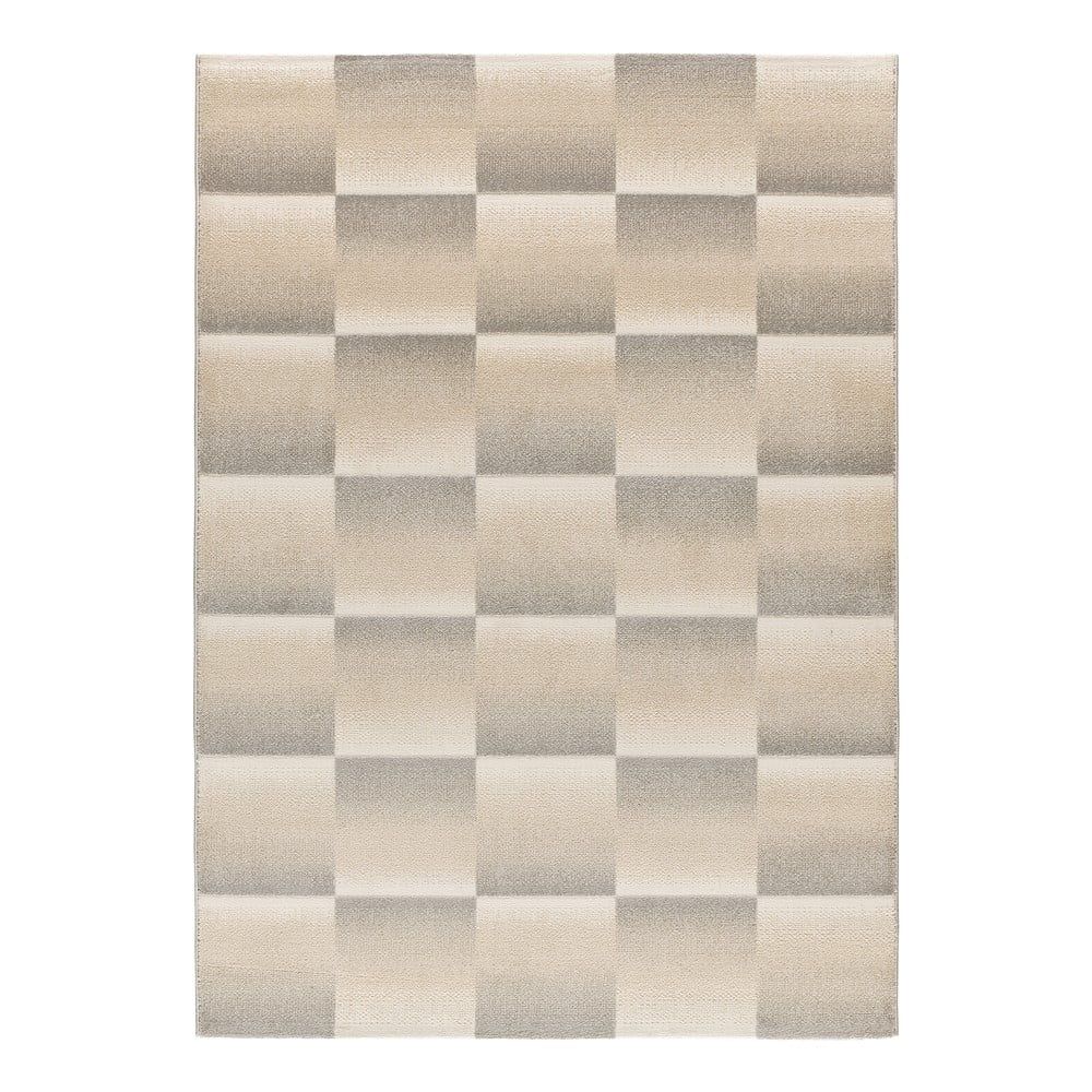 Sivo-krémový koberec 160x230 cm Sensation – Universal