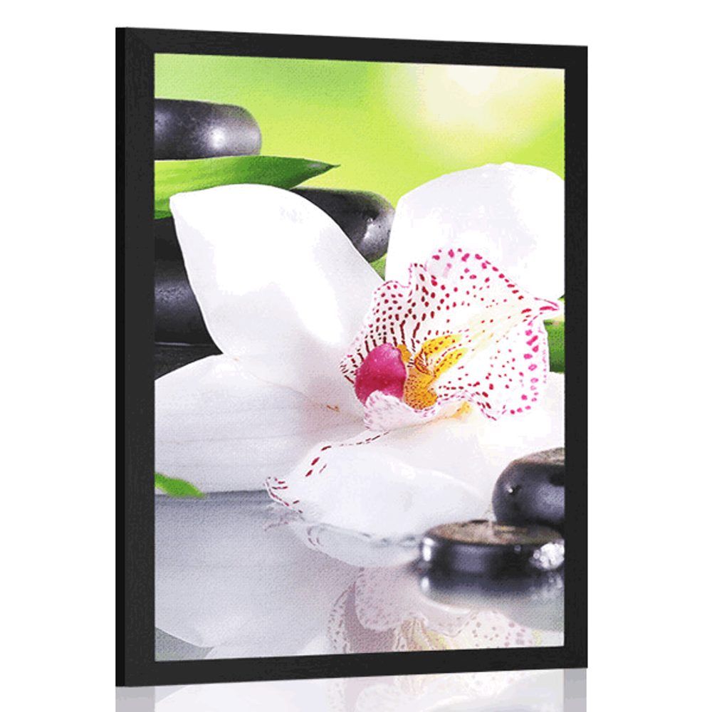 Plagát japonská orchidea - 30x45 white