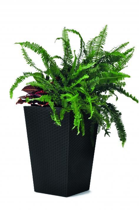 Rojaplast Rattan planter S - grafit