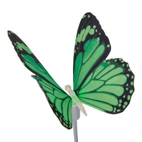 Näve Solárna lampa Motýľ, hrot do zeme, RGB-LED, oceľ, plast, 0.05W, L: 15 cm, K: 85cm