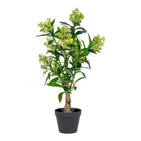 Umelá rastlina Skimmia – House Nordic