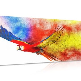 Obraz let papagája - 120x60
