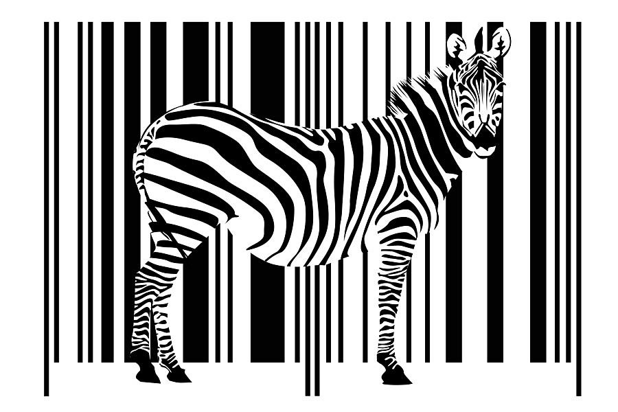 Čiernobiela fototapeta Zebra 3181 - latexová