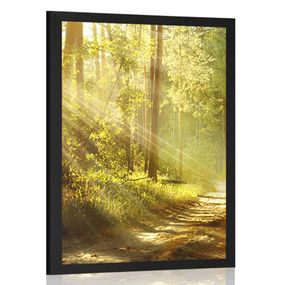 Plagát s paspartou slnečné lúče v lese - 40x60 black