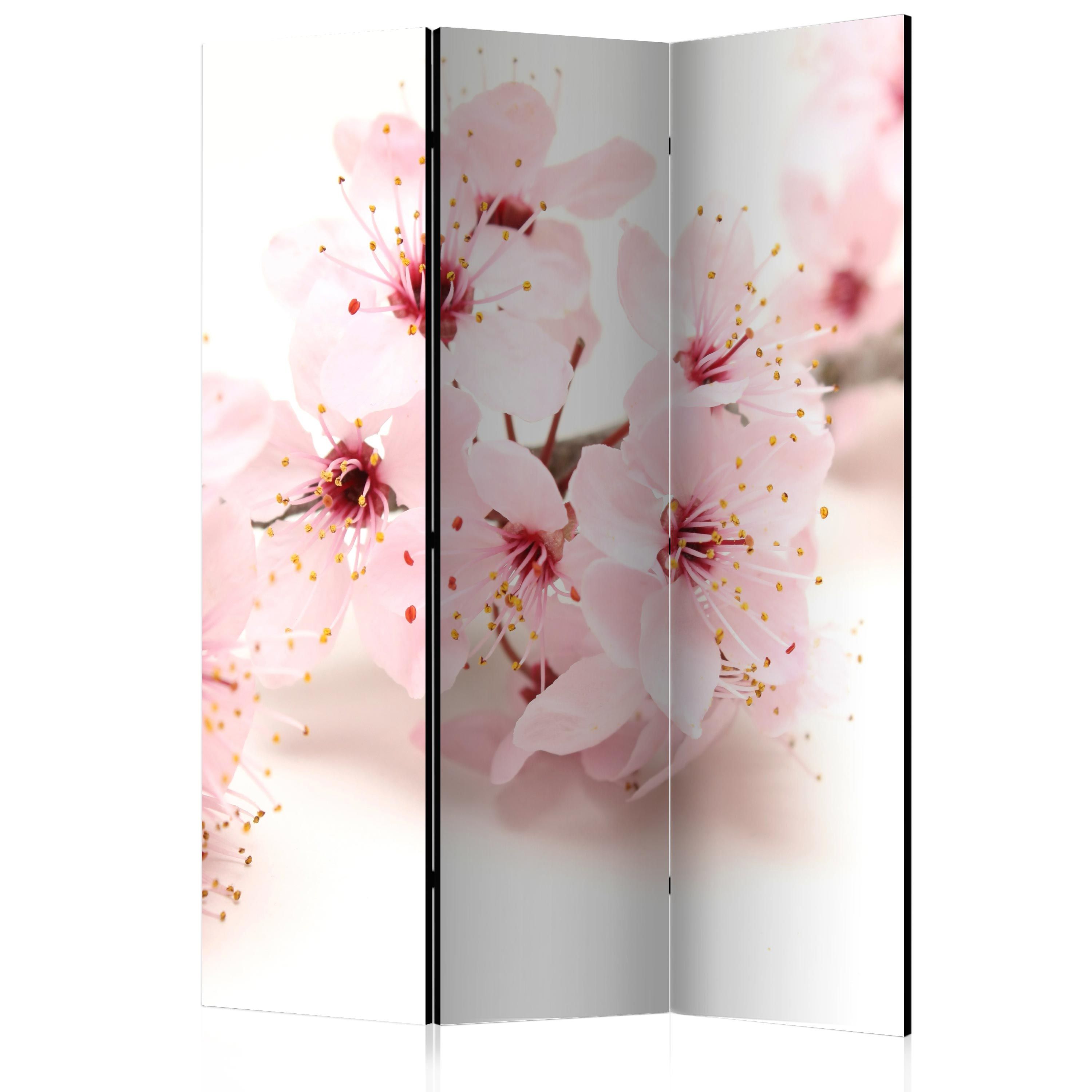 Artgeist Paraván - Cherry Blossom [Room Dividers]