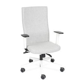 Kancelárska stolička s podrúčkami Timi W Plus - sivá / biela