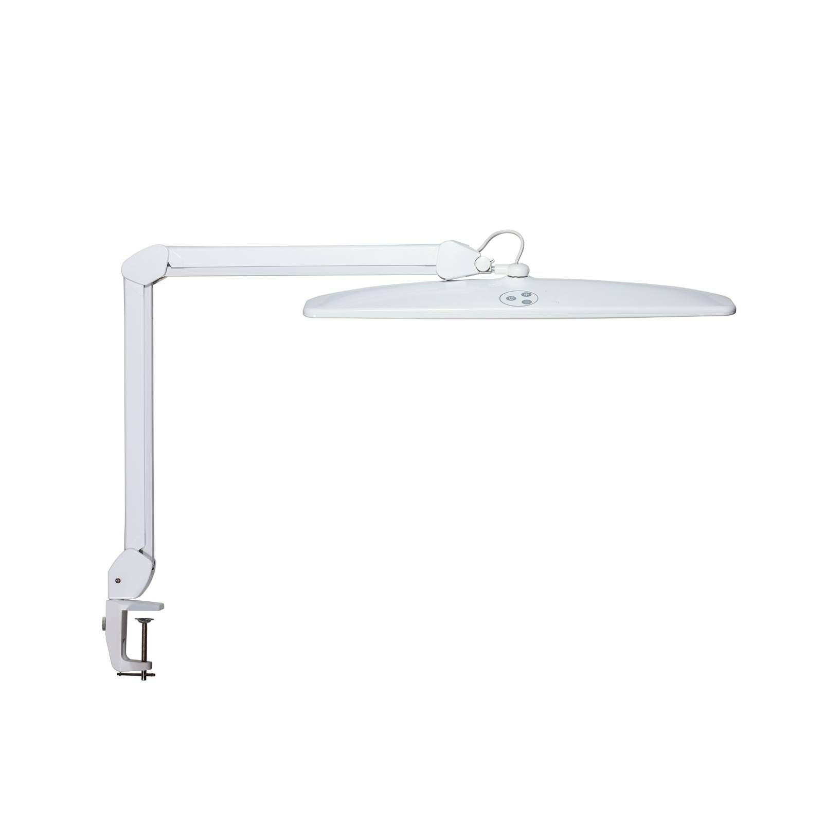 Maul Upínacia LED lampa MAULexplore, stmievateľná biela, Pracovňa / Kancelária, oceľ, plast, 19W, K: 50cm