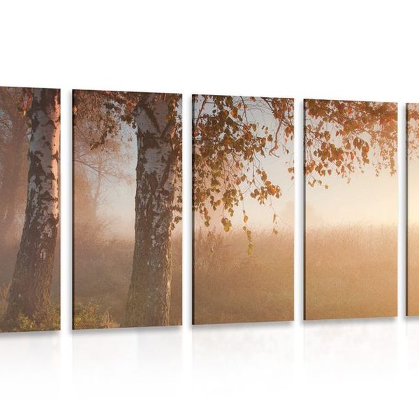 5-dielny obraz hmlistý jesenný les - 200x100