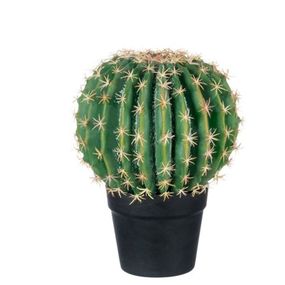 Kaktus v kvetináči medium - Ø 25*33cm
