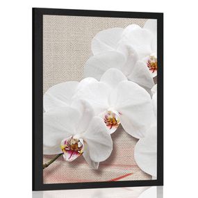 Plagát biela orchidea na plátne - 30x45 black