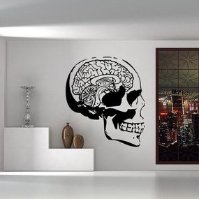 Samolepka na zeď Lebka s mozkem 1216