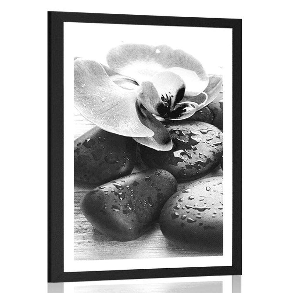 Plagát s paspartou krásna súhra kameňov a orchidey v čiernobielom prevedení - 40x60 black