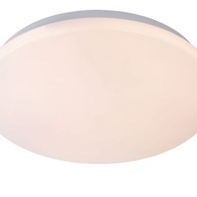 Stropné svietidlo LUCIDE OTIS Ceiling Light  79199/14/61