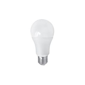 LED Žiarovka PITT A60 AC/DC E27/12W/24V 4000K