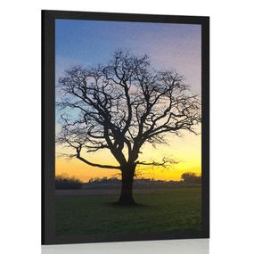 Plagát očarujúci strom - 40x60 black