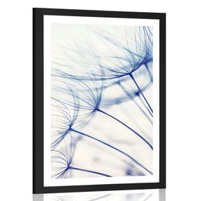 Plagát s paspartou púpava v jedinečnom prevedení - 40x60 black