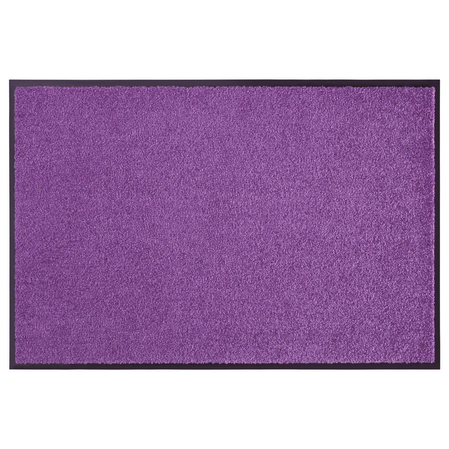 Hanse Home Collection koberce Rohožka Wash & Clean 103838 Violett - 60x90 cm