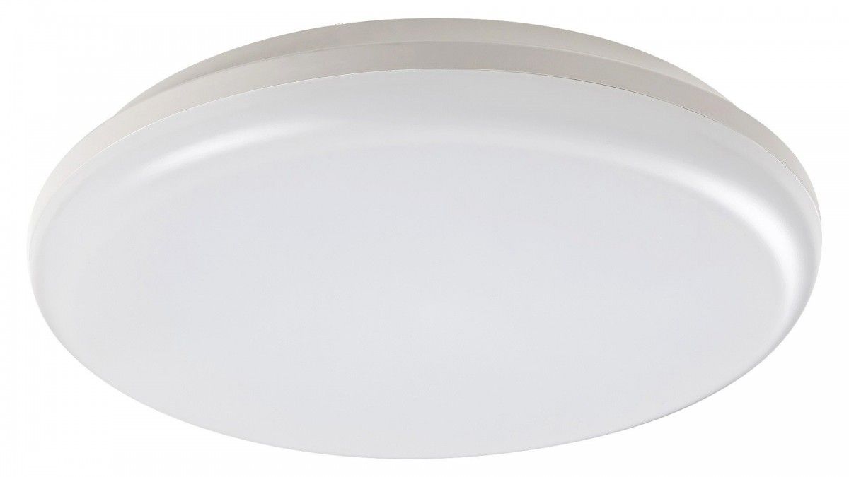 Rabalux 98007979 LED vonkajšie stropné svietidlo Eric 1x24W | 4000K | IP64