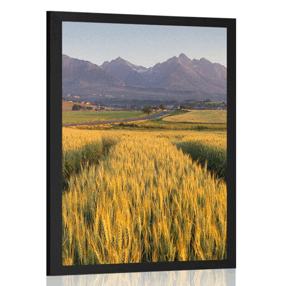 Plagát západ slnka nad pšeničným poľom - 40x60 black