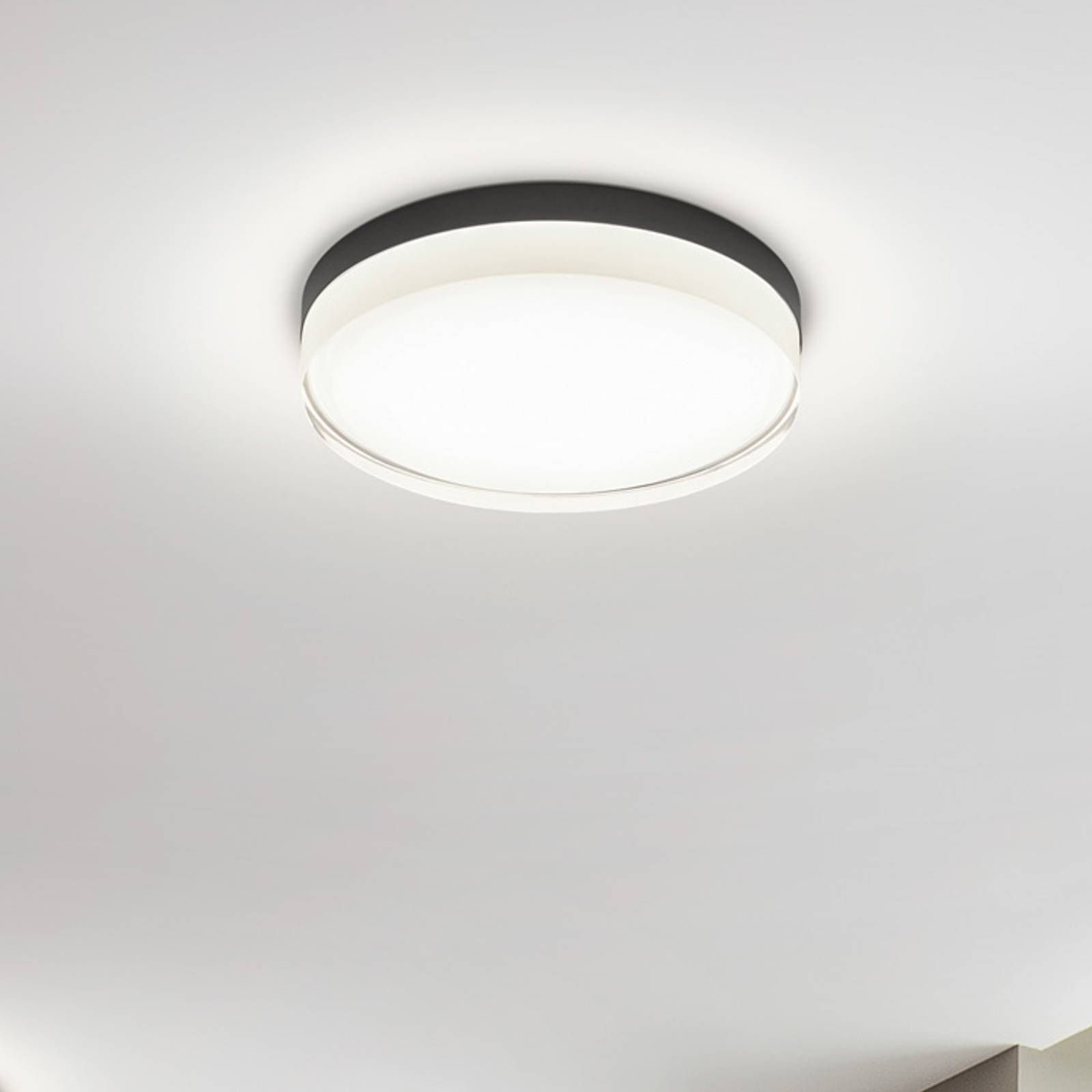 Helestra Tana stropné LED svietidlo čierna Ø 33 cm, Obývacia izba / jedáleň, oceľ, sklo čiastočne satinované, 22W, K: 7cm