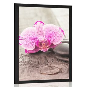 Plagát s paspartou orchidea a Zen kamene na drevenom podklade - 20x30 black