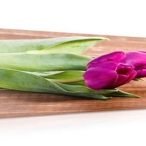 Obraz kytica fialových tulipánov