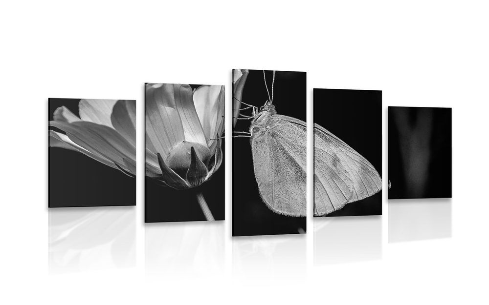 5-dielny obraz motýľ na kvete v čiernobielom prevedení