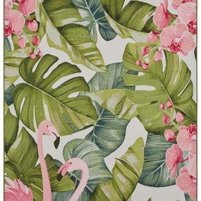 Hanse Home Collection koberce Kusový koberec Flair 105614 Tropical Flamingo Multicolored - 80x165 cm