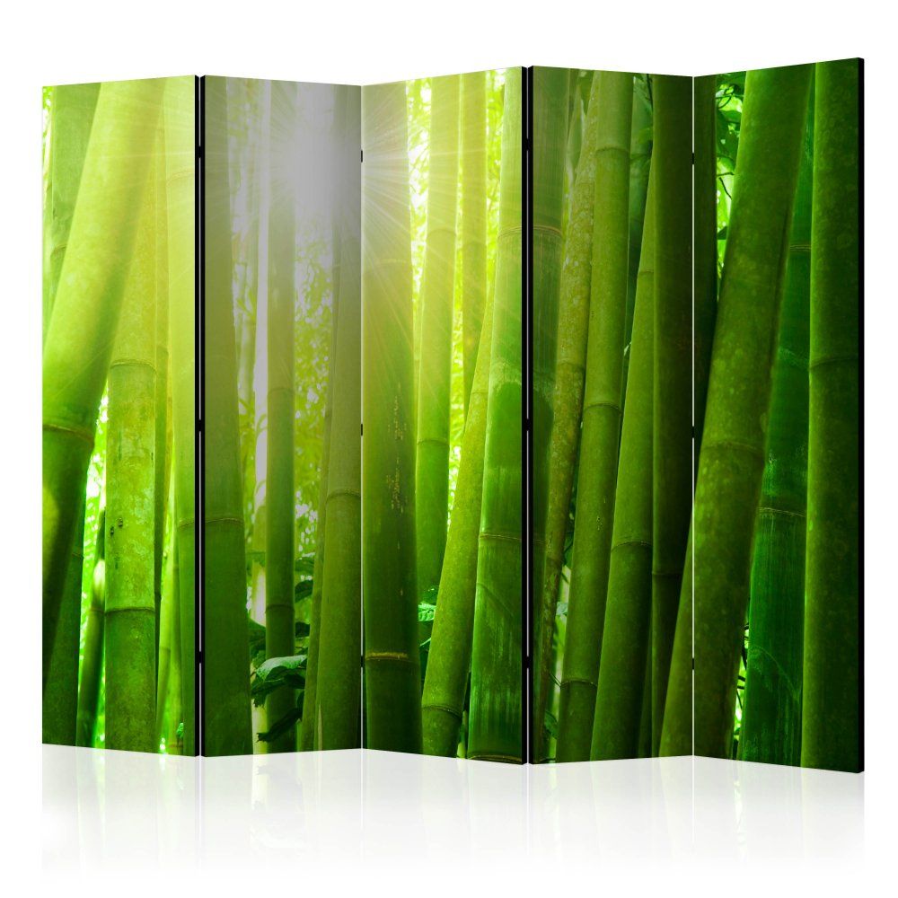 Paraván Sun and bamboo Dekorhome 225x172 cm (5-dielny)