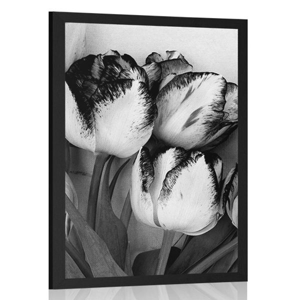 Plagát jarné tulipány v čiernobielom prevedení - 20x30 white