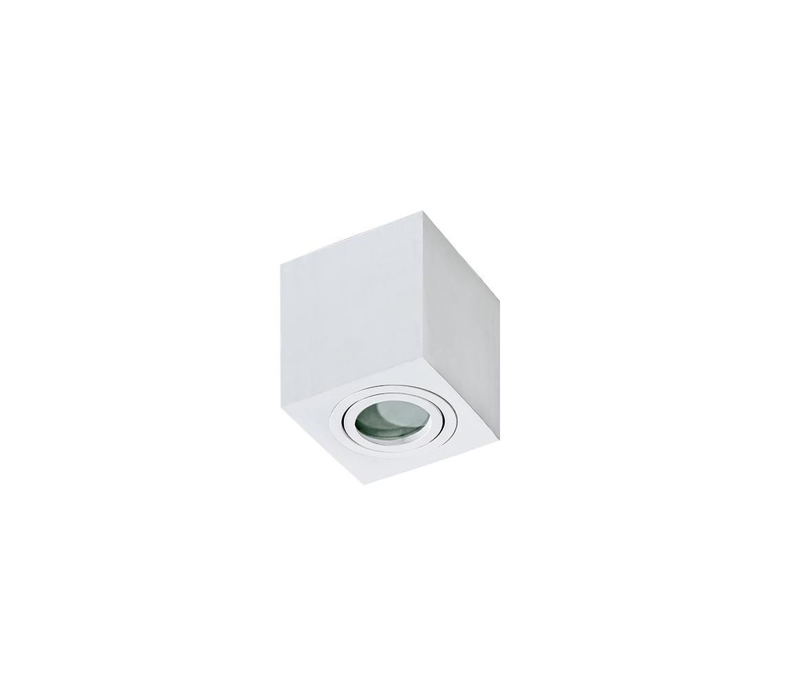 Azzardo AZ2822 - Kúpeľňové stropné svietidlo BRANT 1xGU10/50W/230V IP44