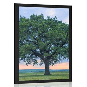 Plagát osamelý dub - 30x45 black